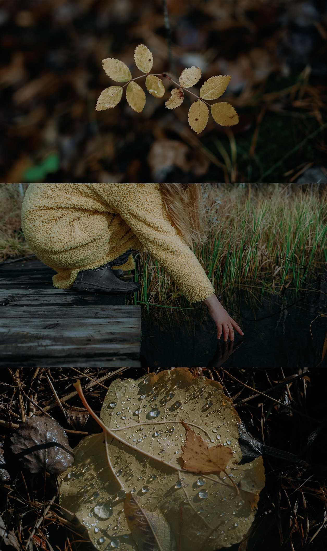 П о к о й. Творческий фотограф Сургут/Москва (портреты, свадьбы, lovestory…)