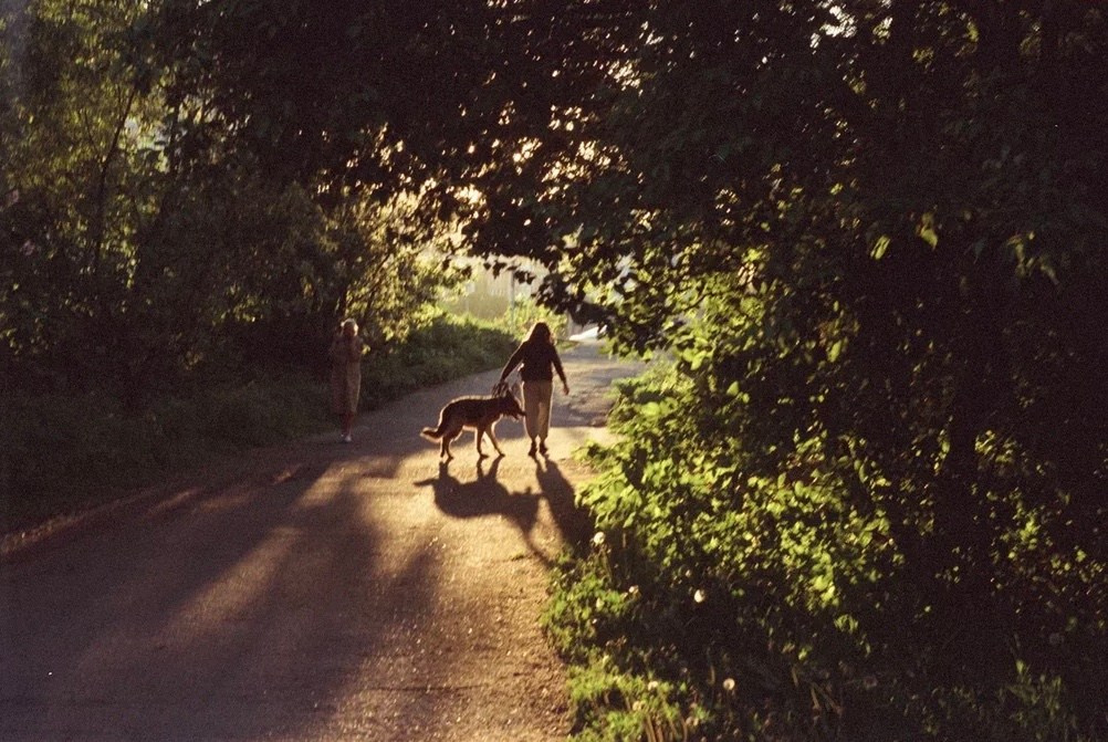 Автор: Алёна Рыбалка