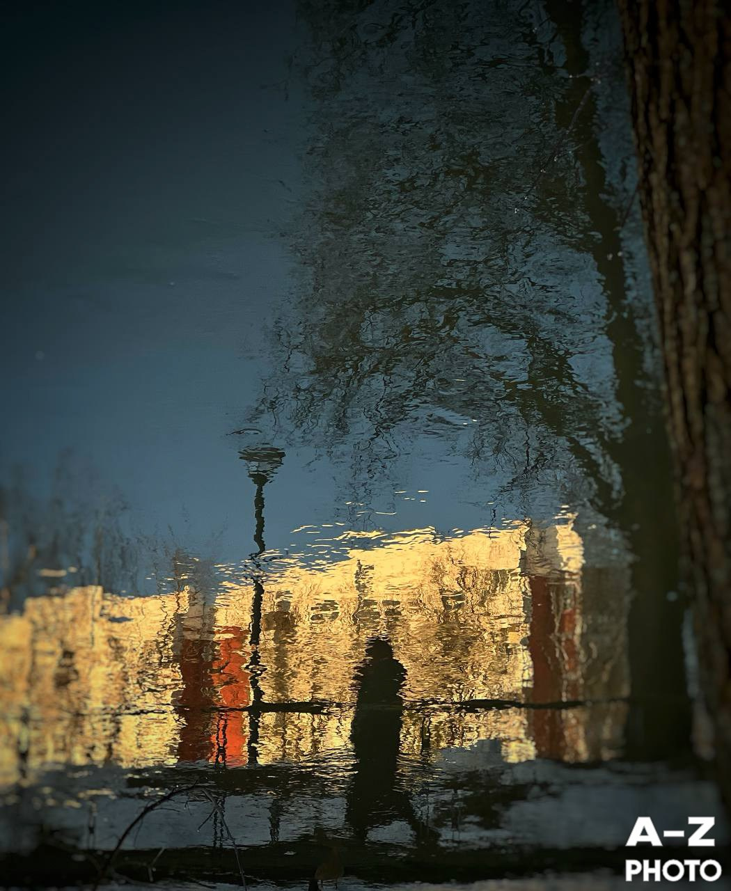 #ФОТОНЕДЕЛИ 16.03.2026. Женский семейный фотограф Тула Москва Захарова Анна