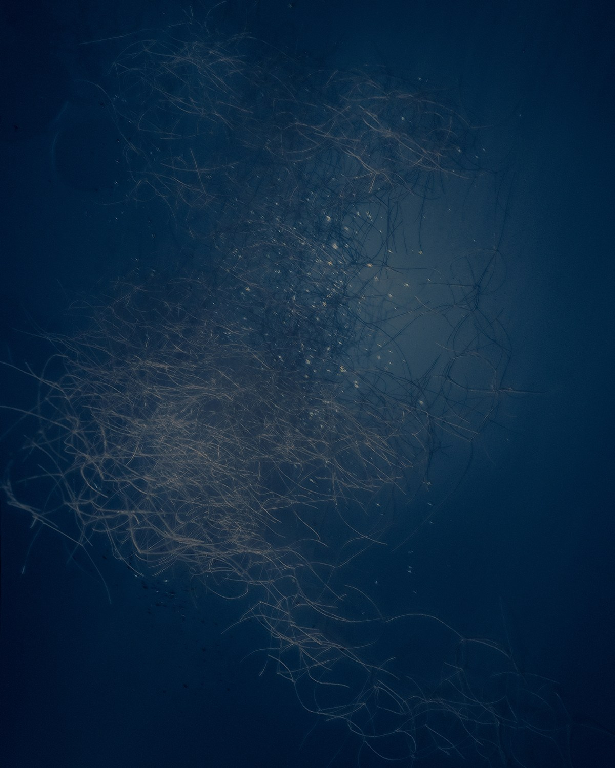 Amor Seco. Художественная фотография в Санкт-Петербурге Алина Берёзкина