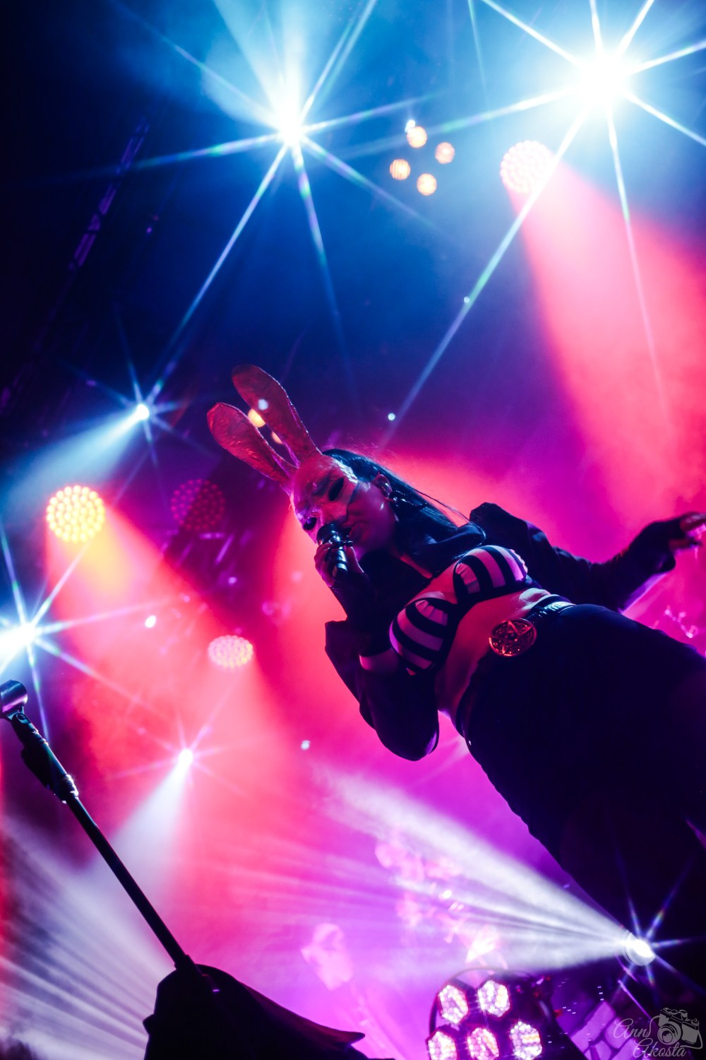 Tardigrade Inferno || 31.05 || СПб (Космонавт). Анна Акоста: фотограф в Санкт-Петербурге и Таганроге