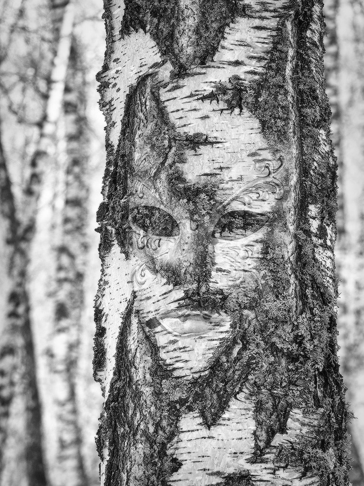 Projects. Landscape Photography by Aleksandr Leshchenok