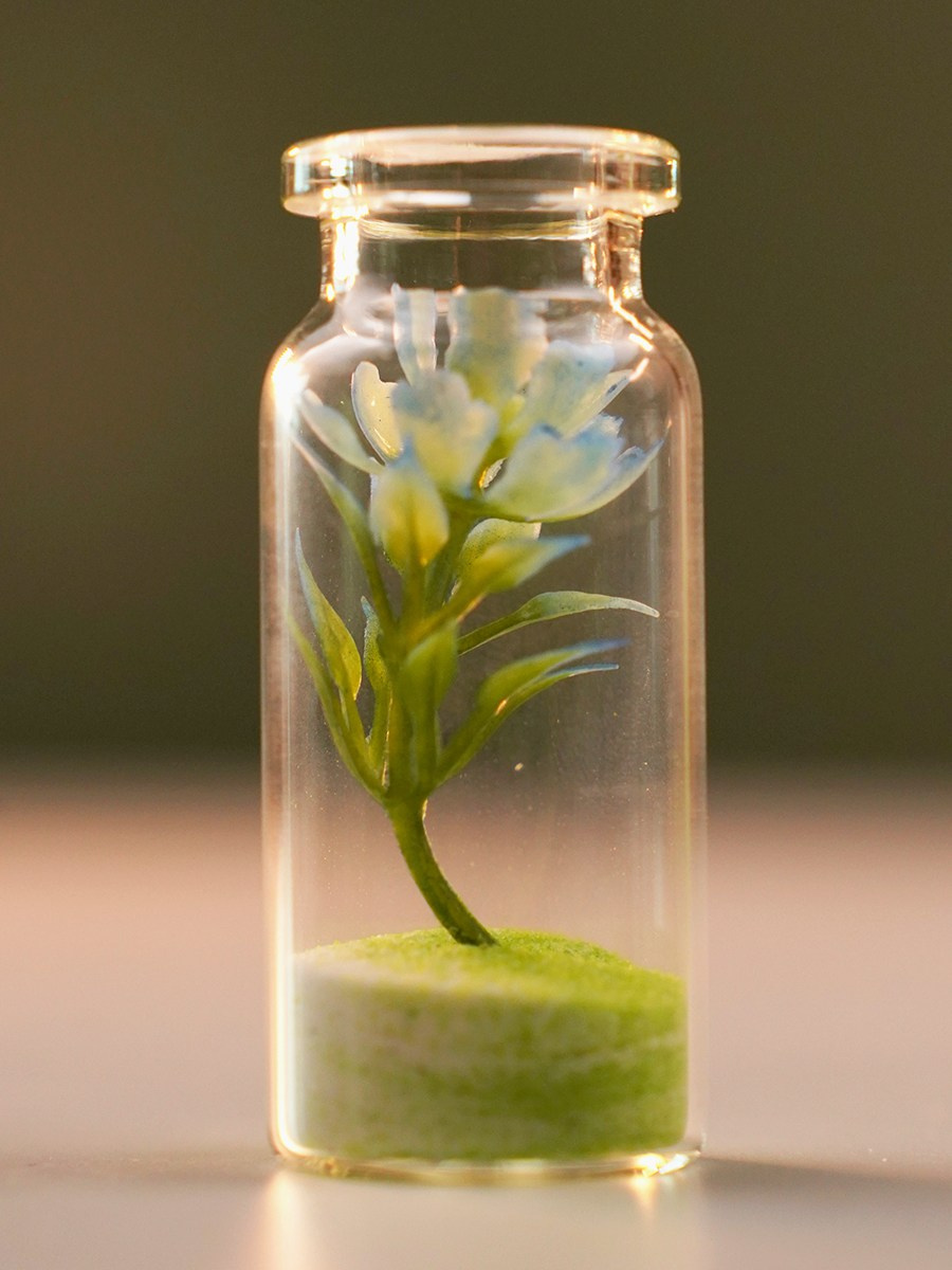 Фотография. Фотограф и видеограф DOSERZH (Добрин Сергей) в городе Москва и МО