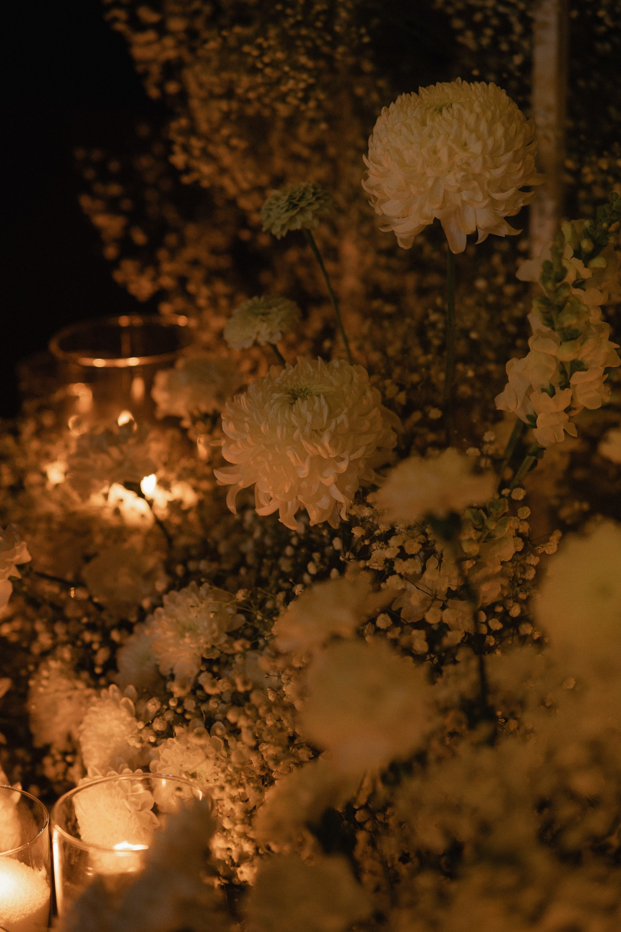 Алексей и Антонина. Свадебный фотограф в Белгороде Антон Каменев