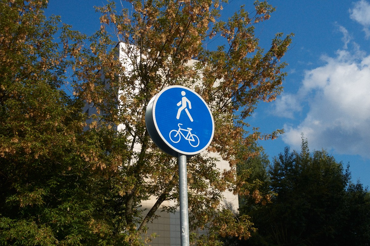 8-9/25. Иван Кобяков