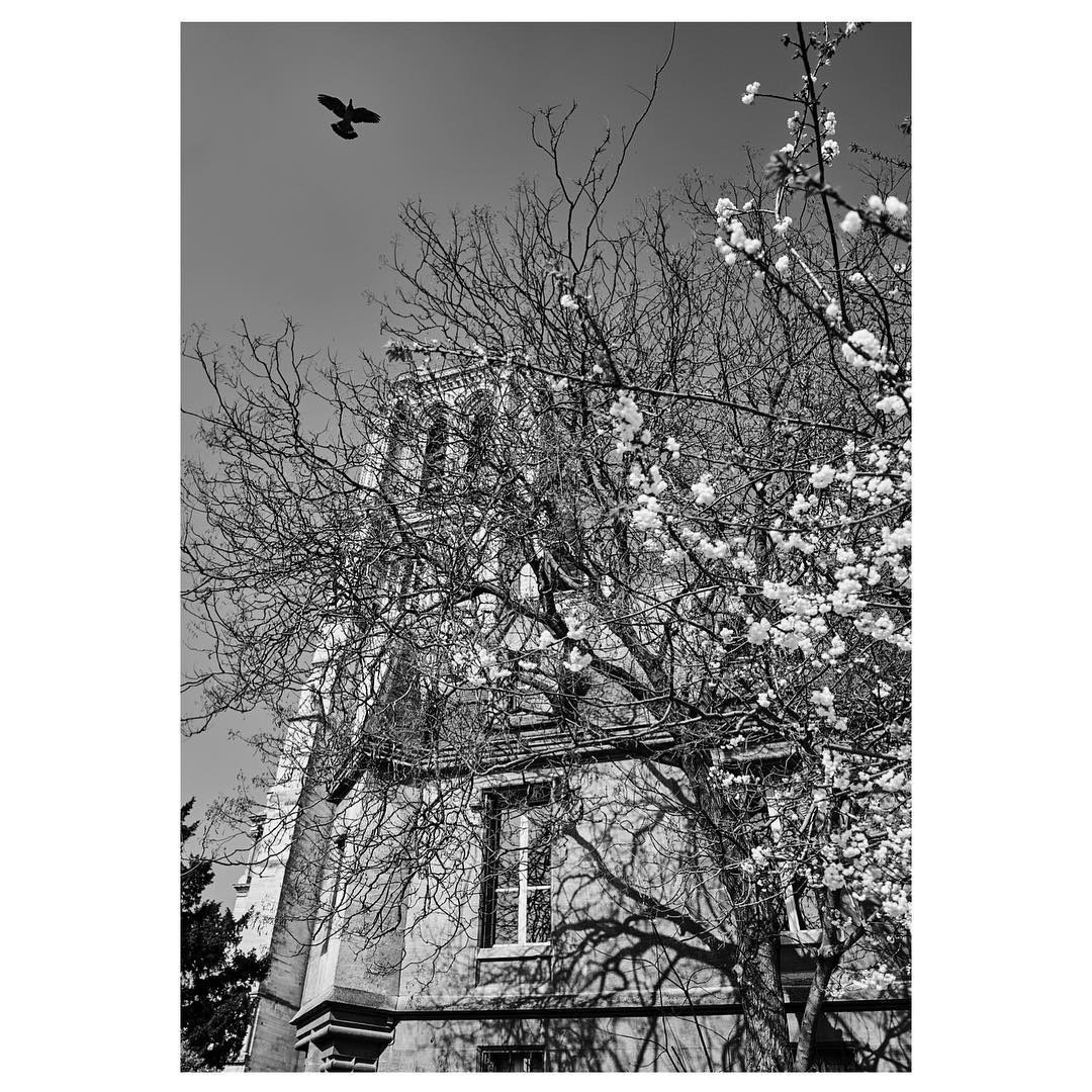 Paris: Download Error