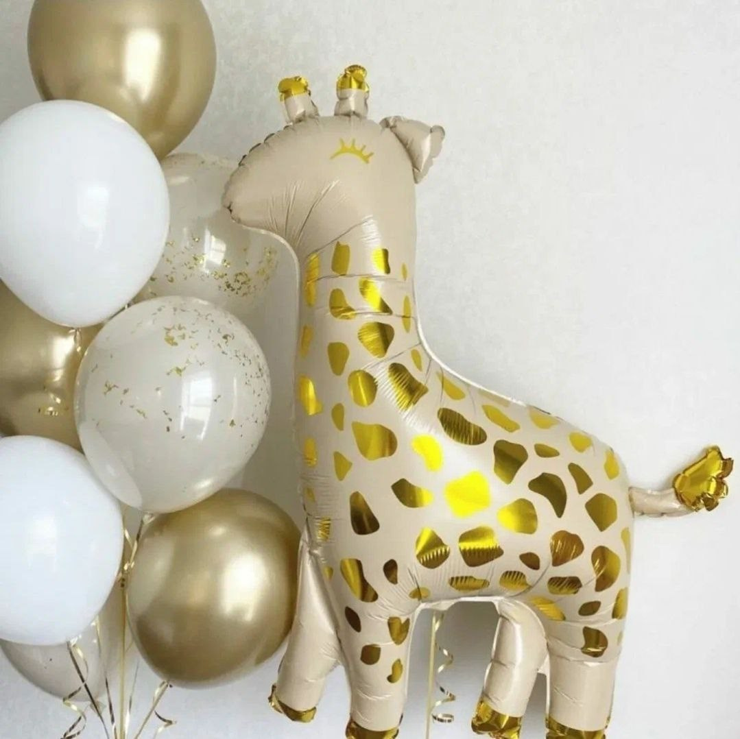 Odalazak iz porodilista prodavnica balona Novi Sad prodavnica balona Beograd. Шары с гелием, фотозоны Нови Сад Белград. Balone i dekoracije od balona Novi Sad Beograd