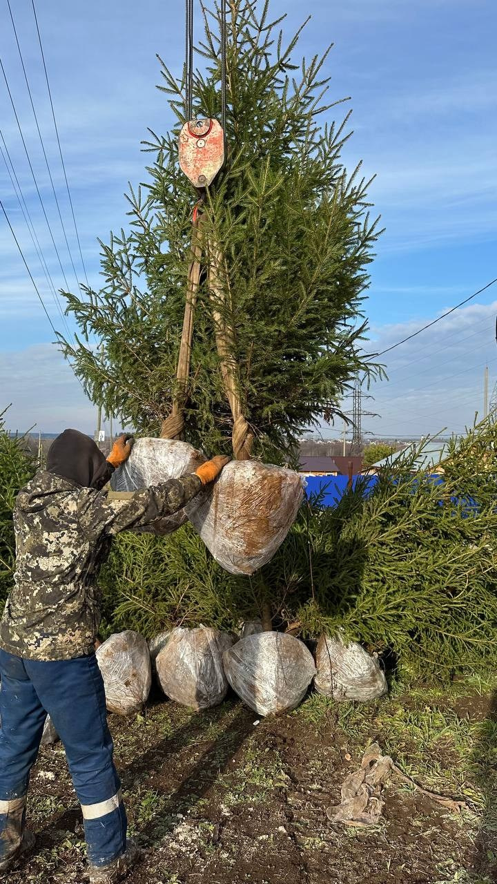 Крупномеры РФ