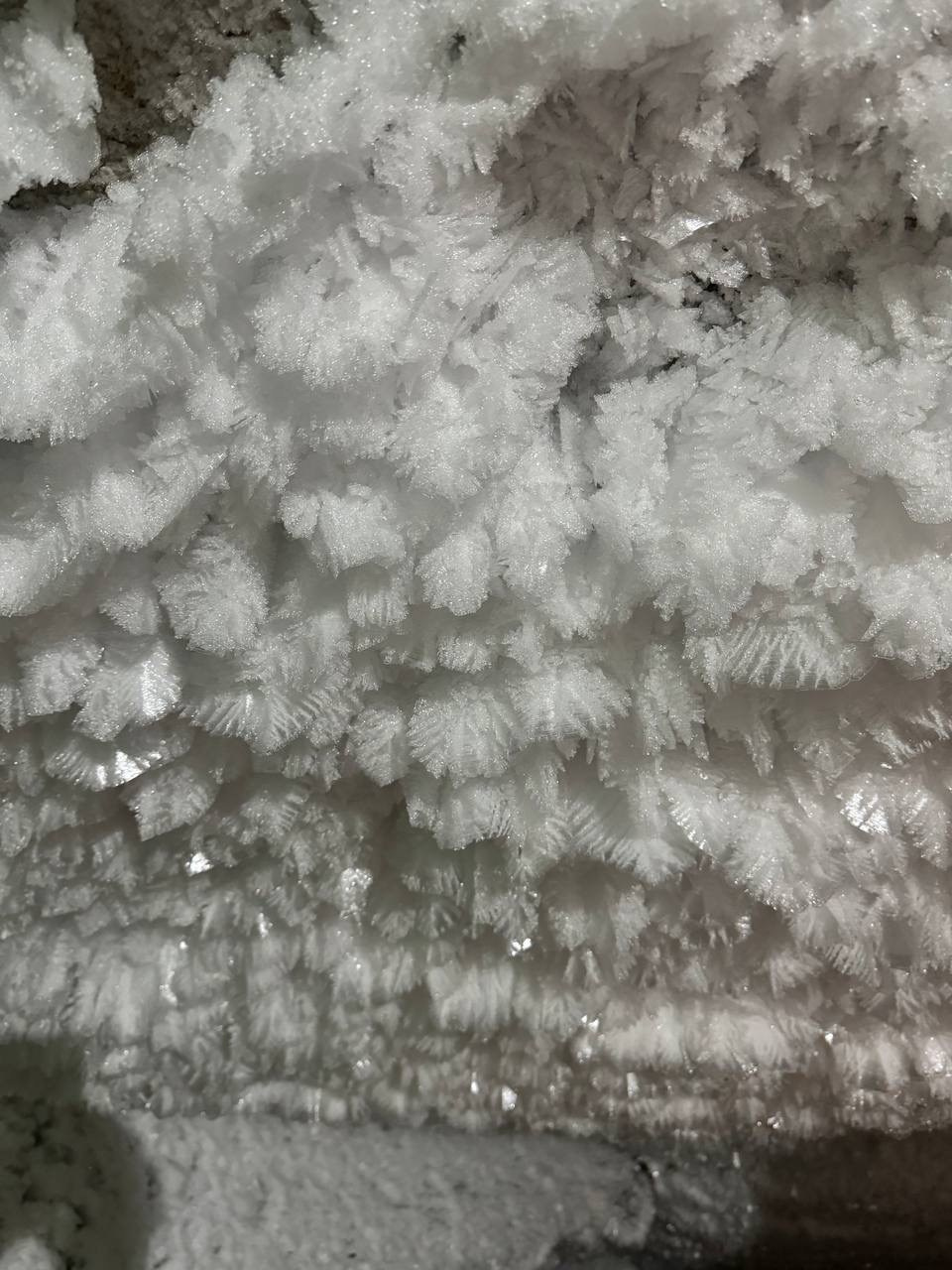 Идем на восток. Портретный фотограф Москва, репортаж и естественная постановка