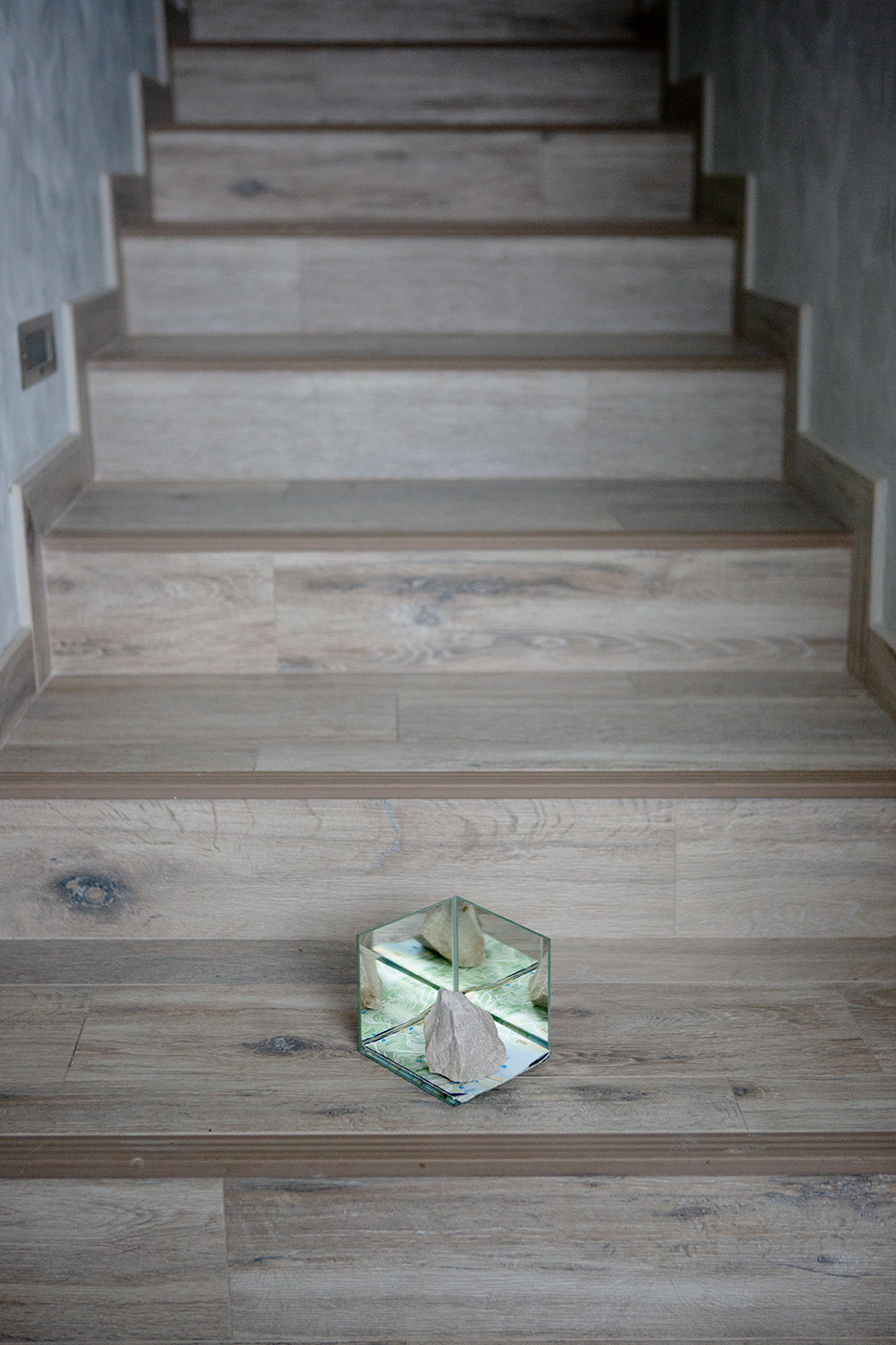 Ольга Кардашова