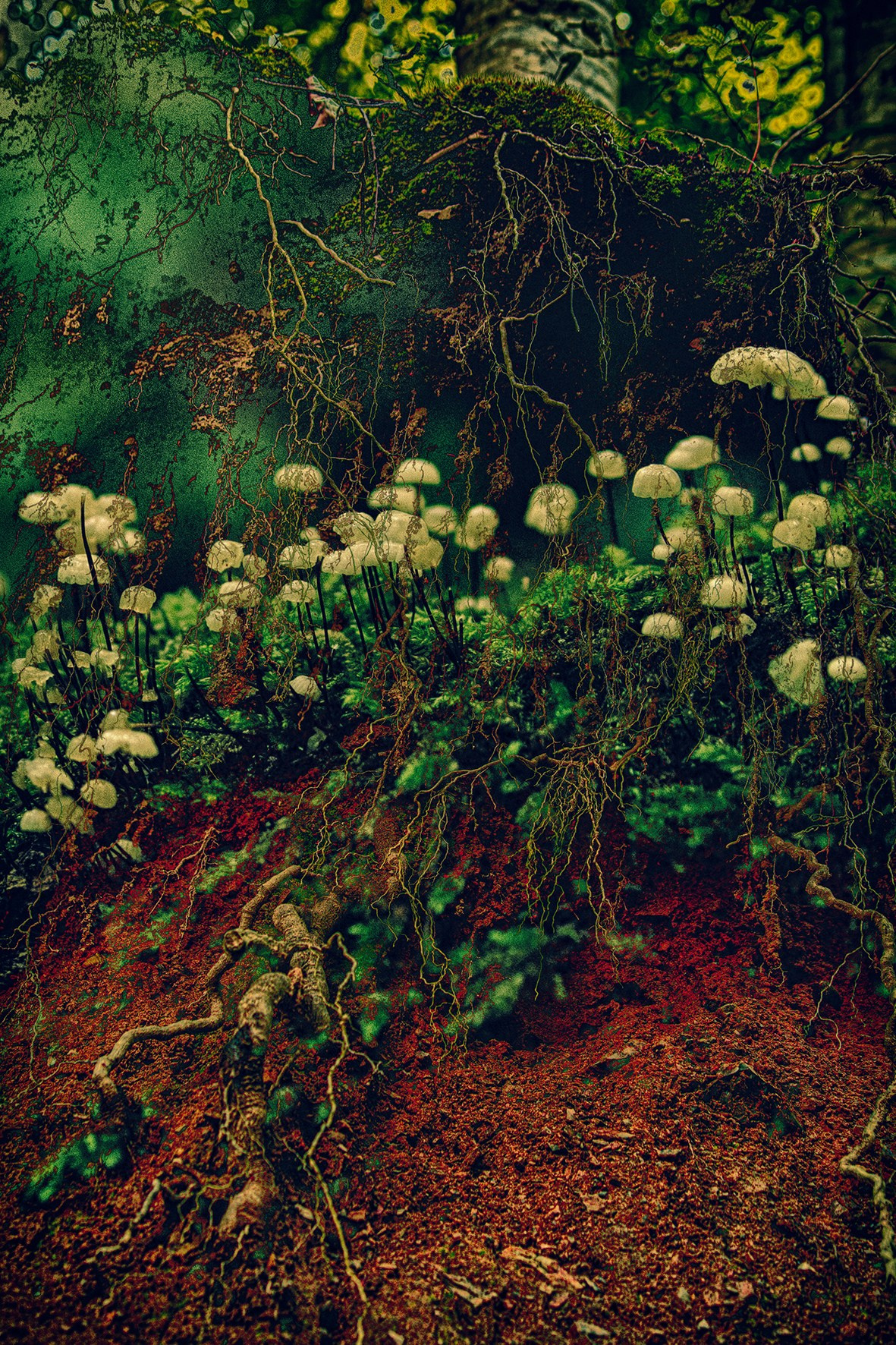 Творчество. Фотограф в Сочи Елена Лисотина. Фототуры в Сочи