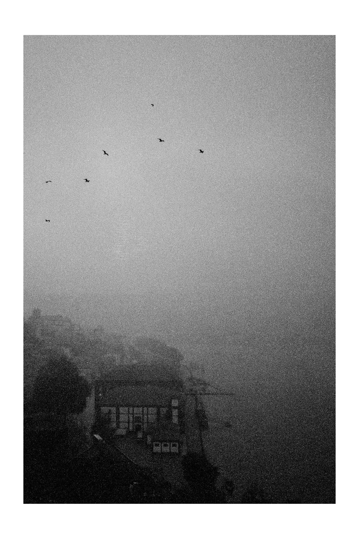 Prints and postcards. Porto Photographer Kristina Brazhnikova