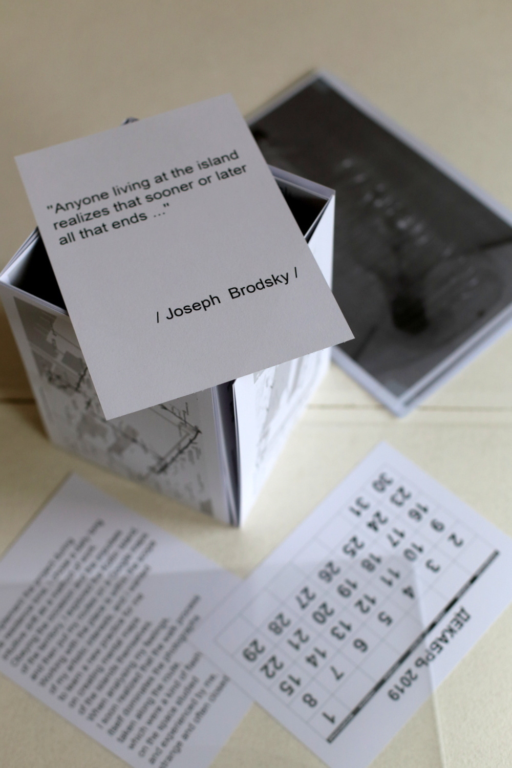 Черная полоса. Екатерина Васильева художник, куратор и преподаватель