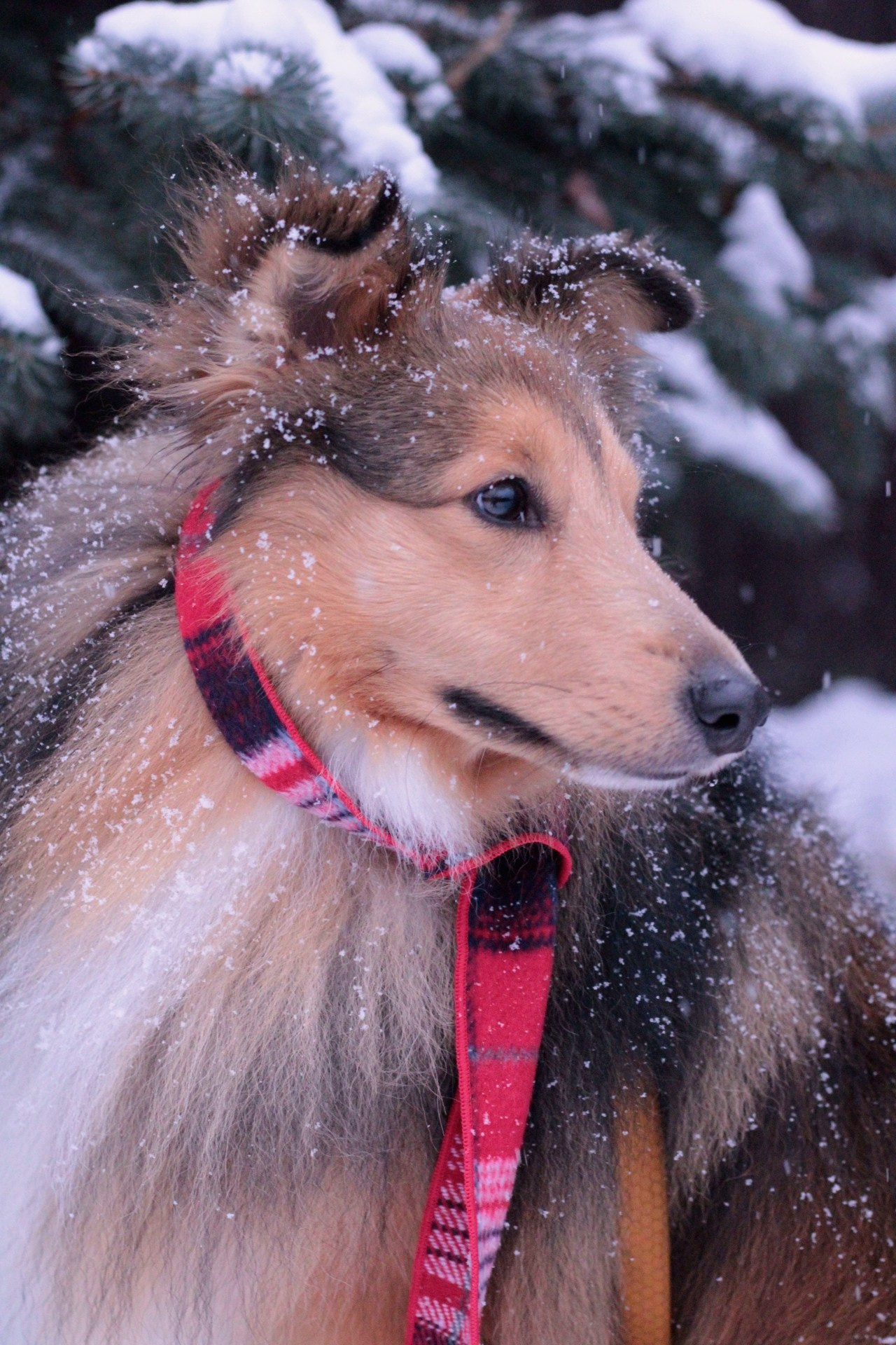 Катя Попова|ЛайфСтайл фотограф