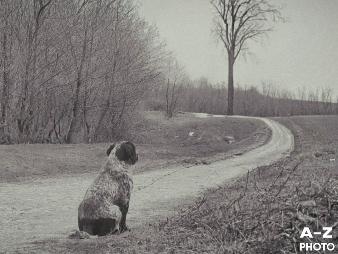 #ФОТОНЕДЕЛИ 06.04.2026. Женский семейный фотограф Тула Москва Захарова Анна