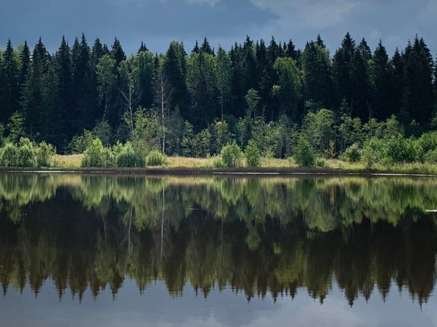 Курс «С нуля»