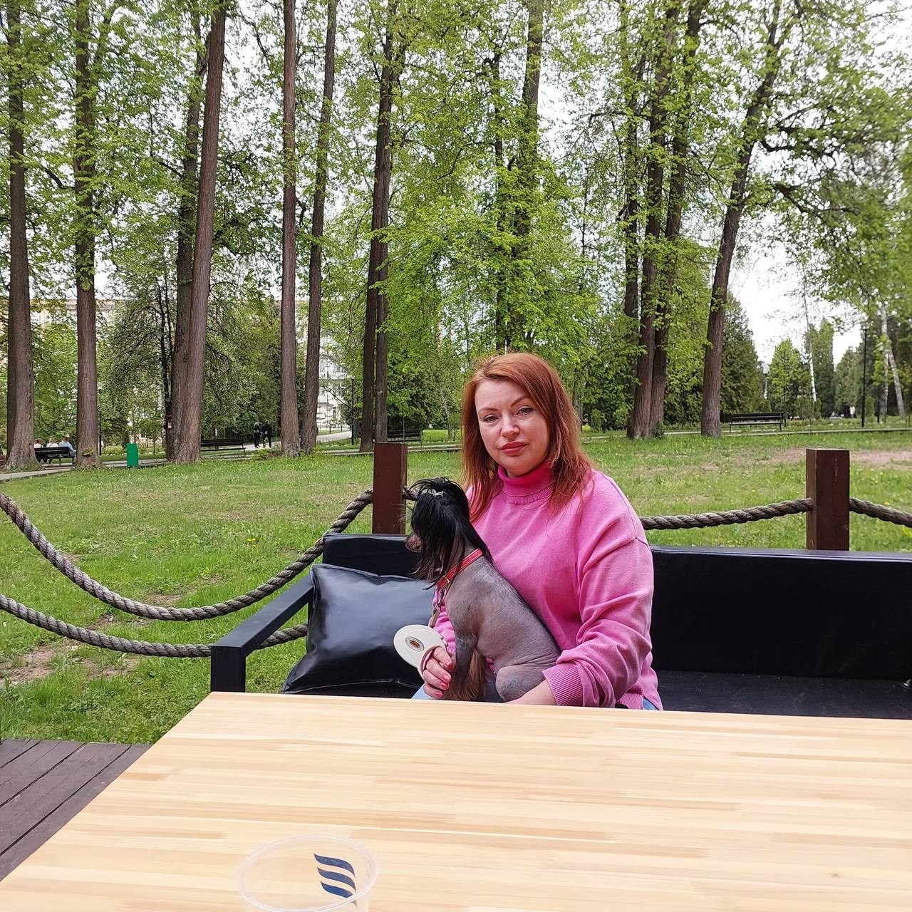 Our Vikusya is on vacation with her family. Chinese Crested Dog Kennel Poale Ell