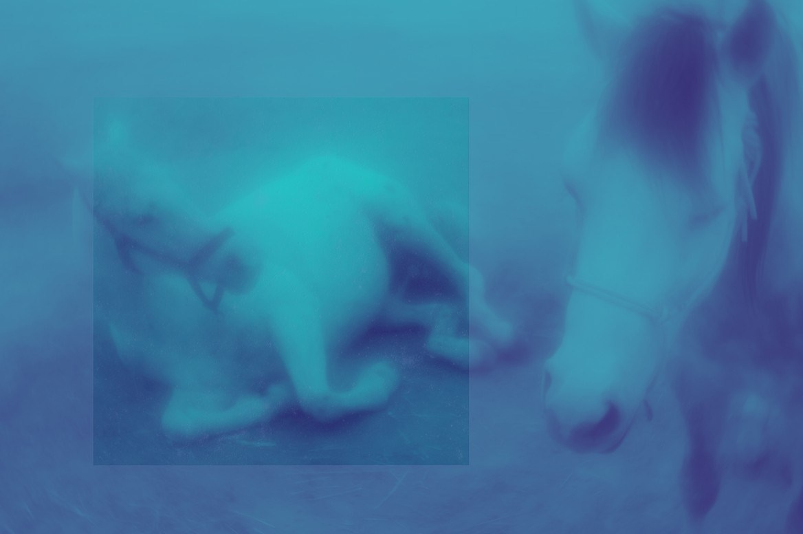 ФОТОГРАФИЯ. CONTEMPORARY ARTIST OLGA ANDRIYASH