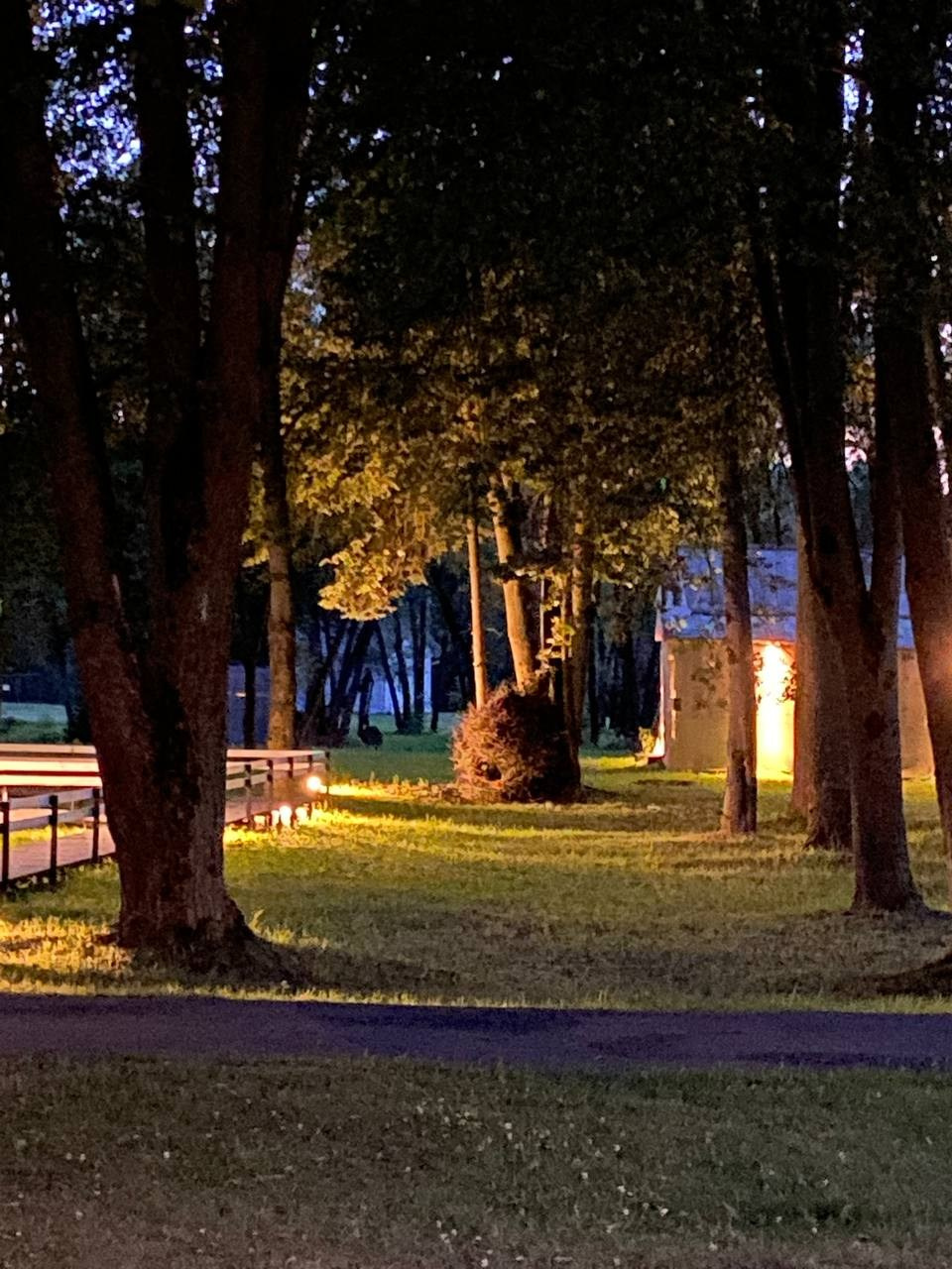 Резиденция «Белые аллеи» 2023. Лилия Ким. Междисциплинарный художник