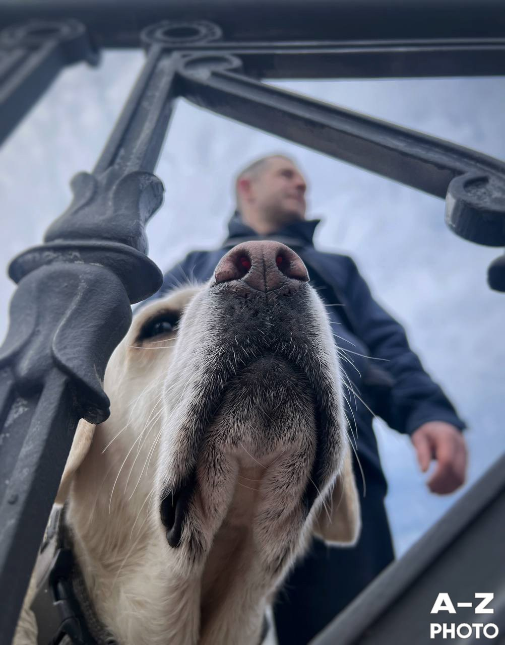 #ФОТОНЕДЕЛИ 30.03.2026. Женский семейный фотограф Тула Москва Захарова Анна