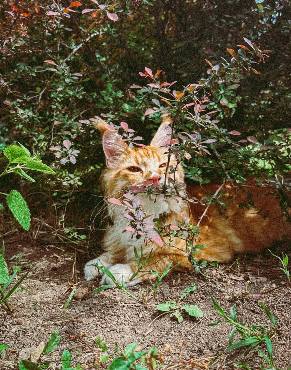МАРАФОН ФОКУС НА ПРЕКРАСНОМ. Фотограф Анастасия Дмитриева