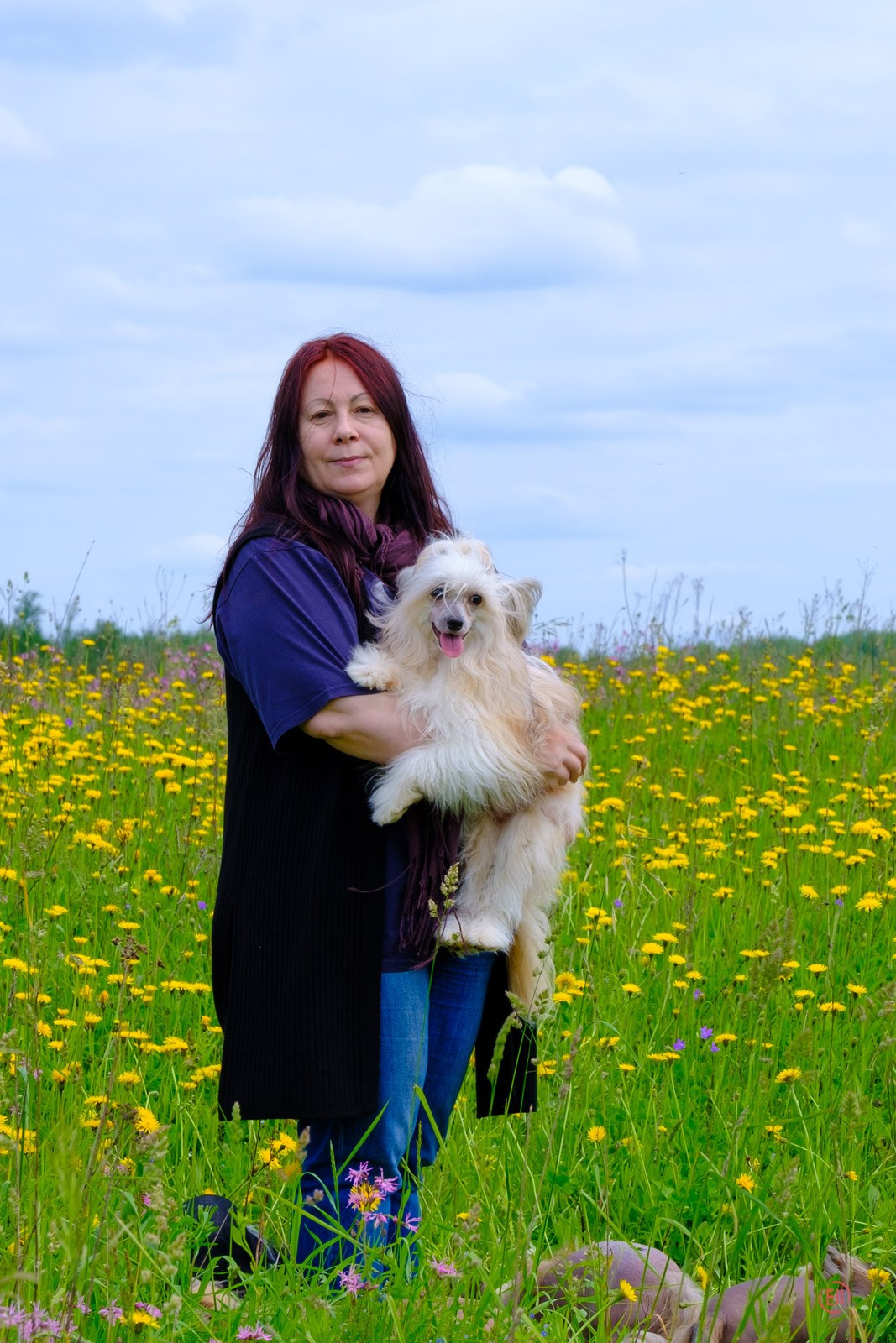 Просто в поле. Питомник китайских хохлатых собак Poale Ell: купить щенка