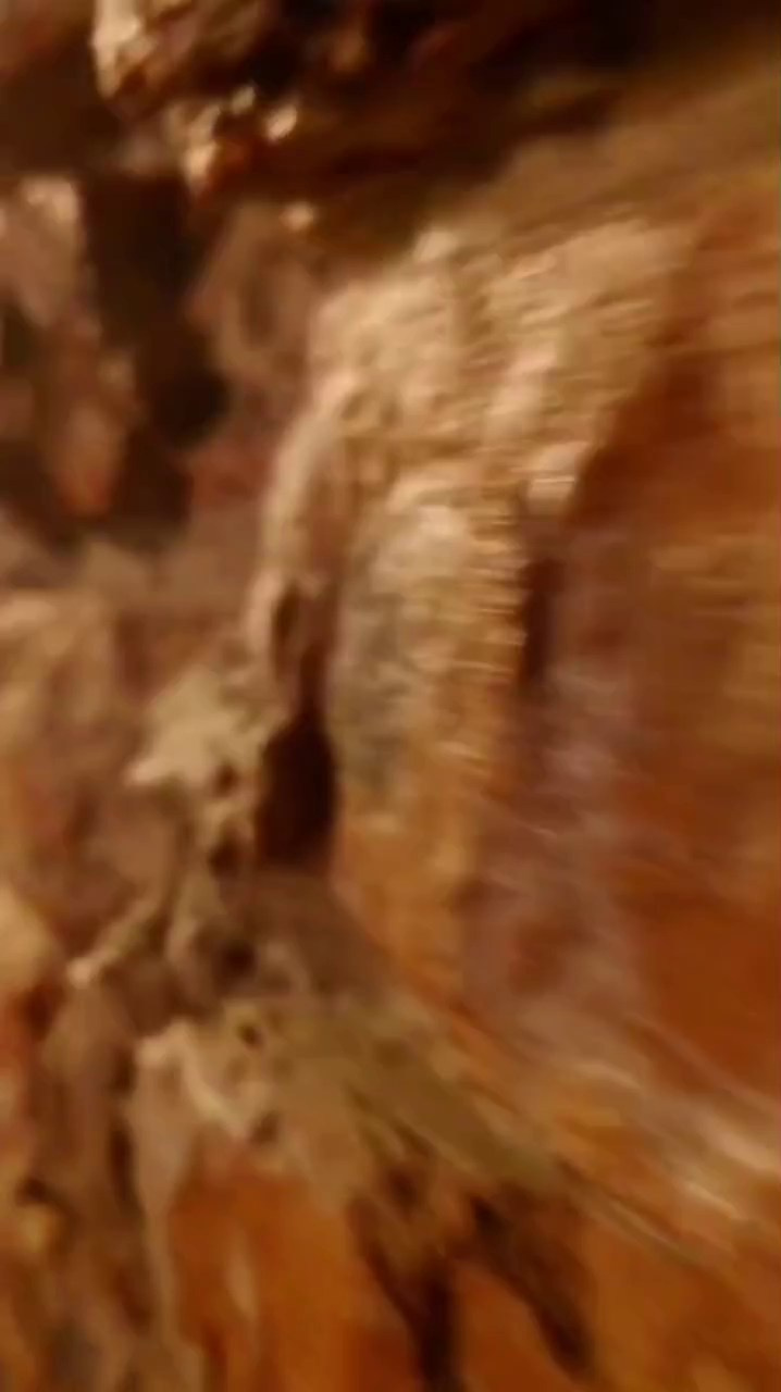 Фотодень «Волшебный новый год». Фотограф Рина