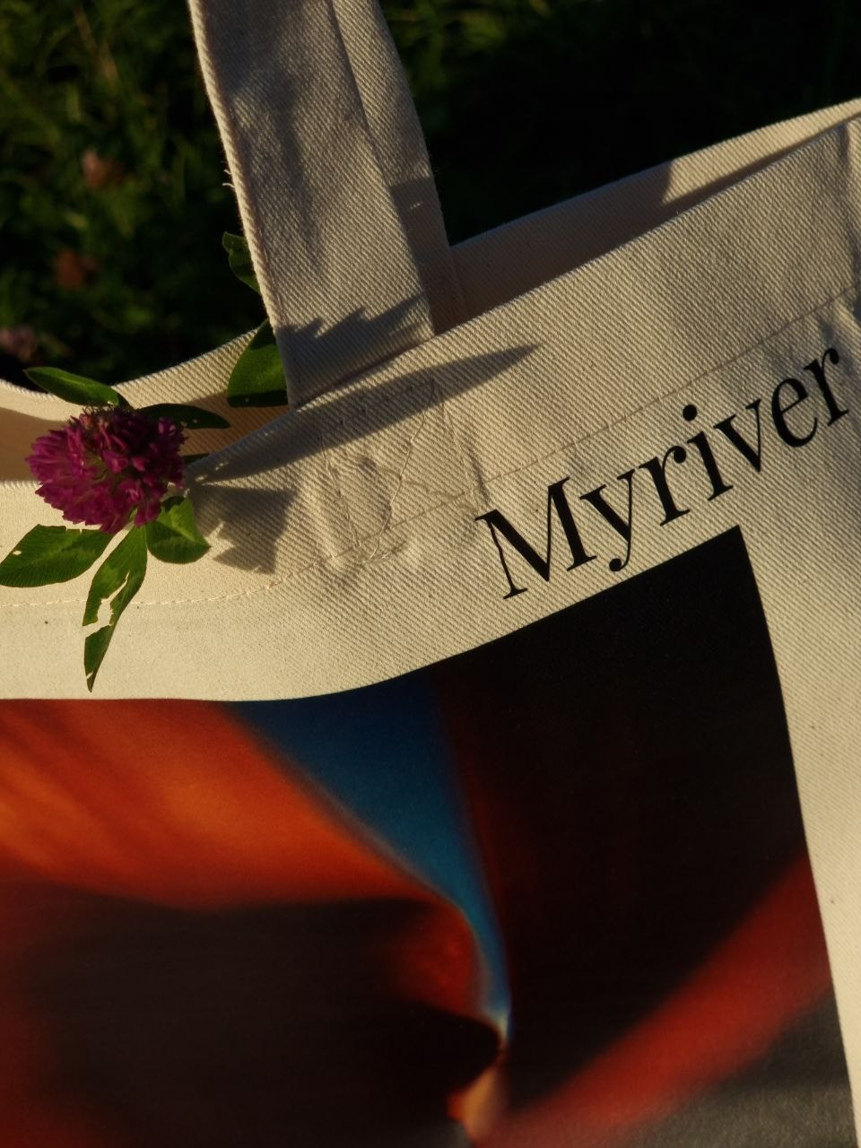 Шоперы. Фотограф из Санкт-Петербурга/Катерина Зайцева