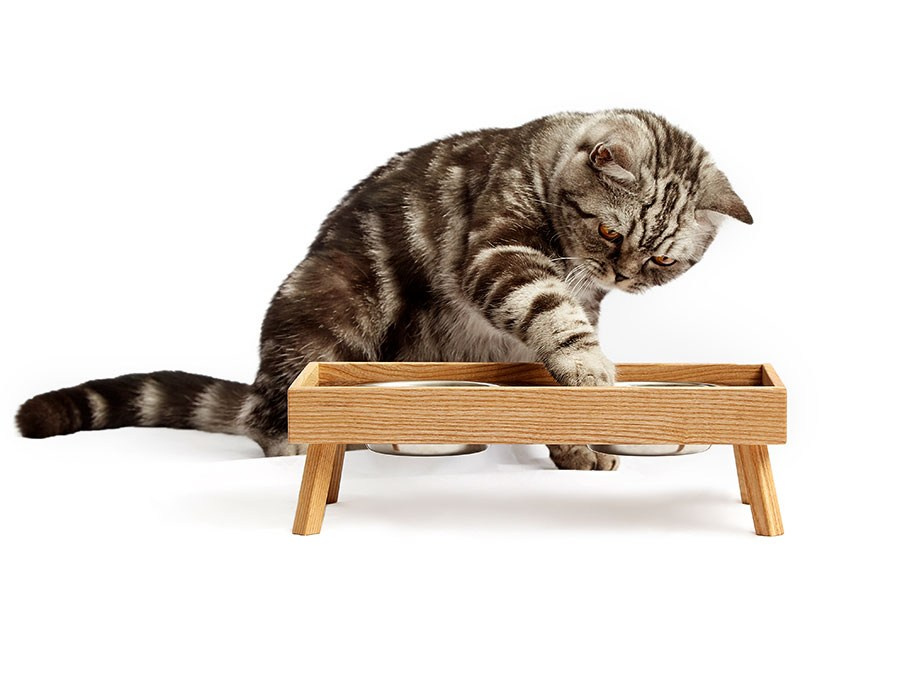 Животные в рекламе. Фотограф Михаил Стенин