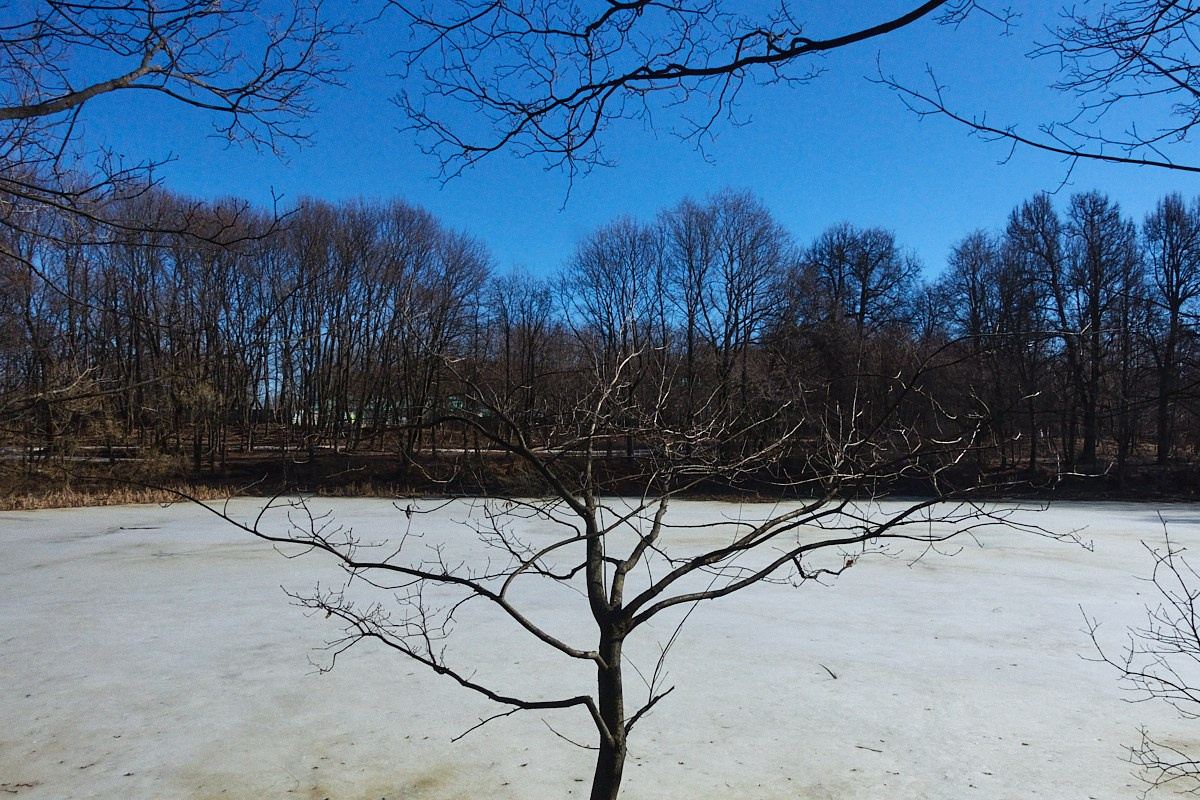 Дневной Сон. Иван Кобяков