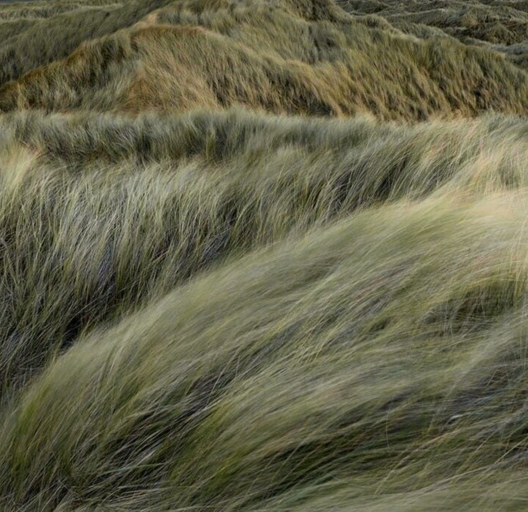 Составление moodboard. Света Полетаева Москва