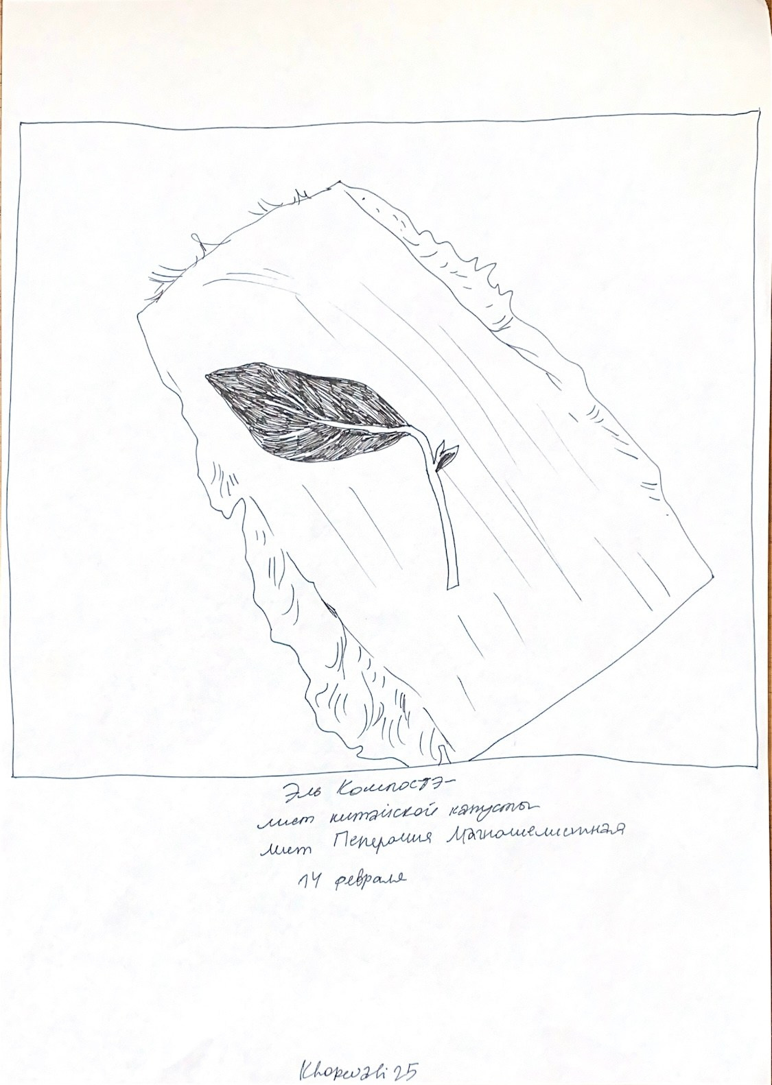 Эль Компостэ'24. Khorevali Лиза Хорева