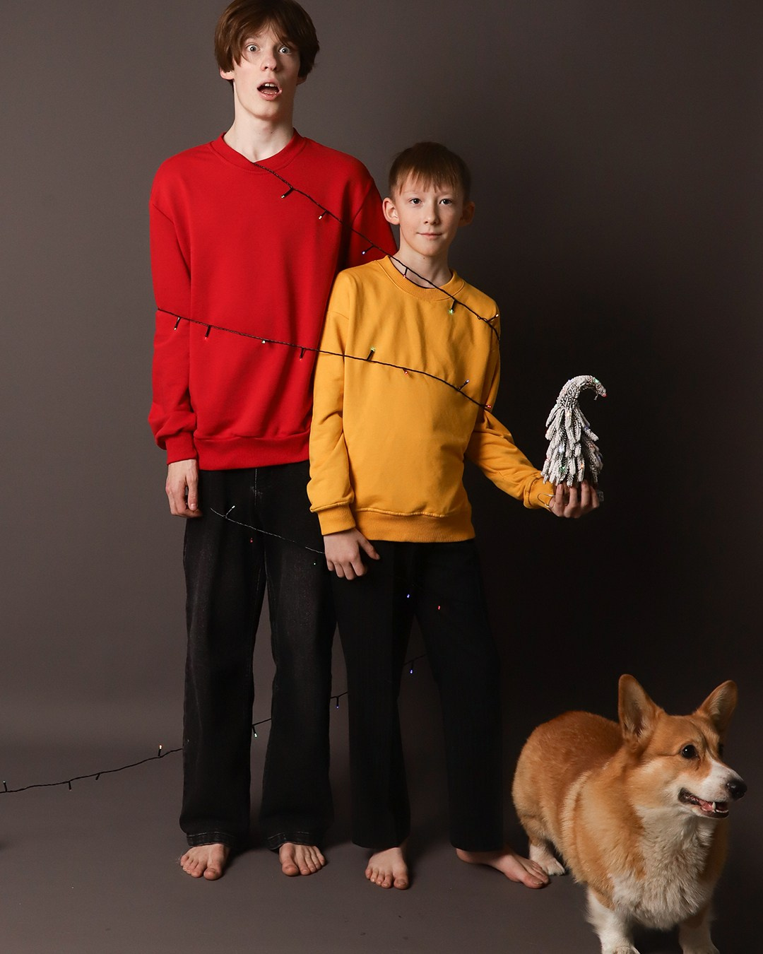 Серый фон (Ленинградская 29). Self-portrait studio in Samara