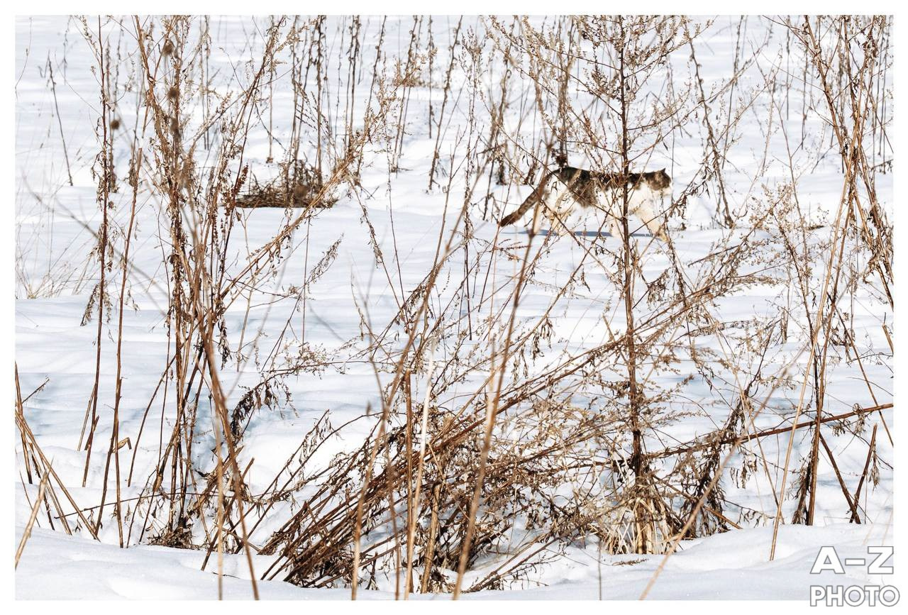 #ФОТОНЕДЕЛИ 30.03.2026. Женский семейный фотограф Тула Москва Захарова Анна