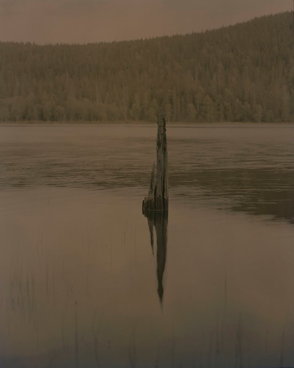 Книга «Gertrud» Мэй Дэниелс (Maja Daniels). Private image