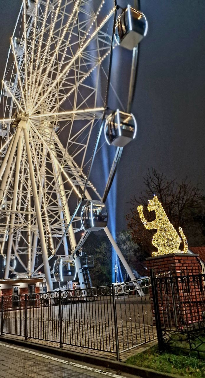 Парк в Зеленоградске