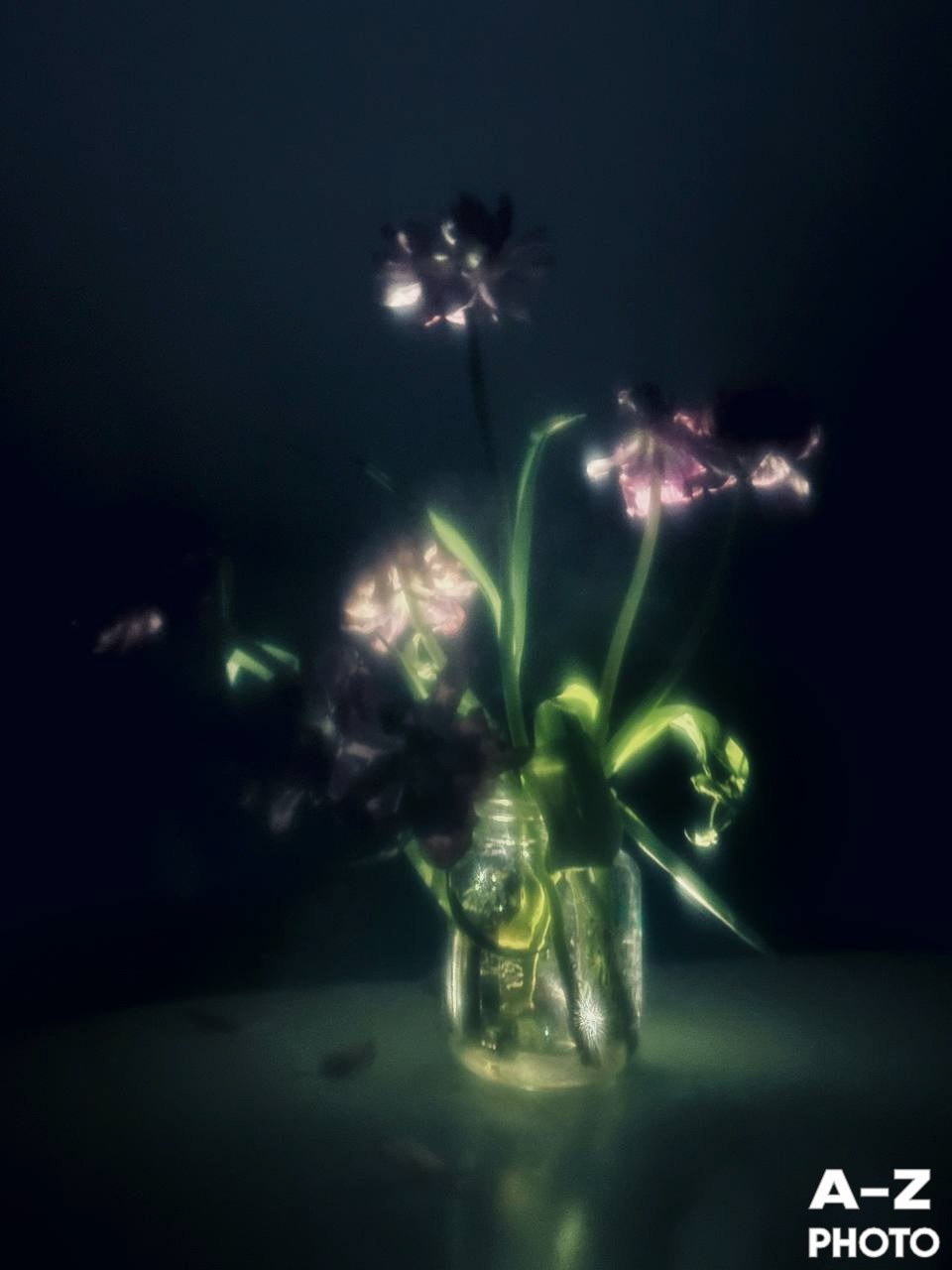 #ФОТОНЕДЕЛИ 30.03.2026. Женский семейный фотограф Тула Москва Захарова Анна