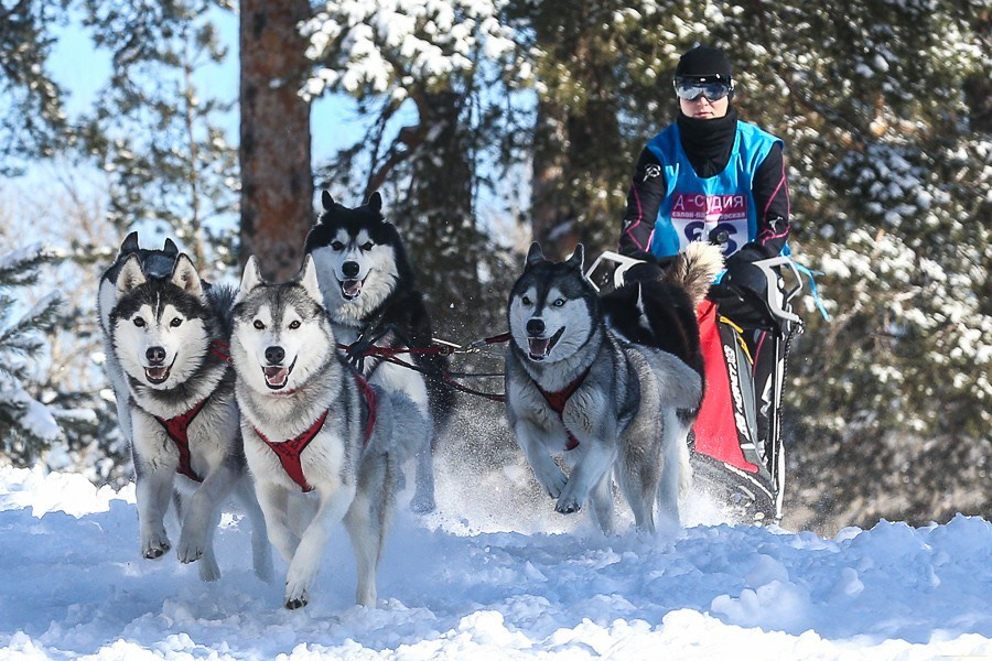 ПРАЙС НА ФОТОРЕПОРТАЖ ТУРЫ ВЫХОДНОГО ДНЯ