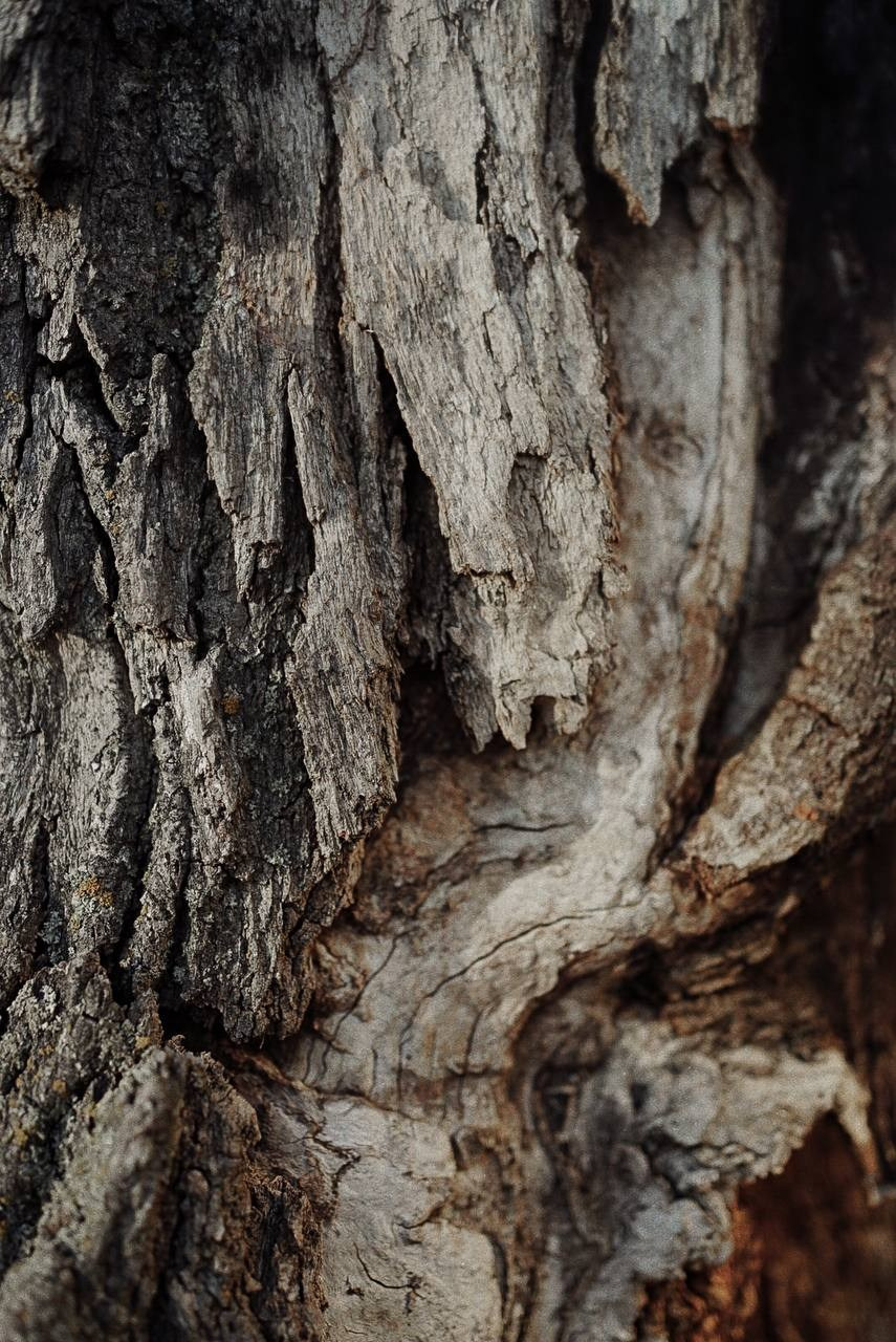 Индивидуальная съемка. Women, shells and flirty