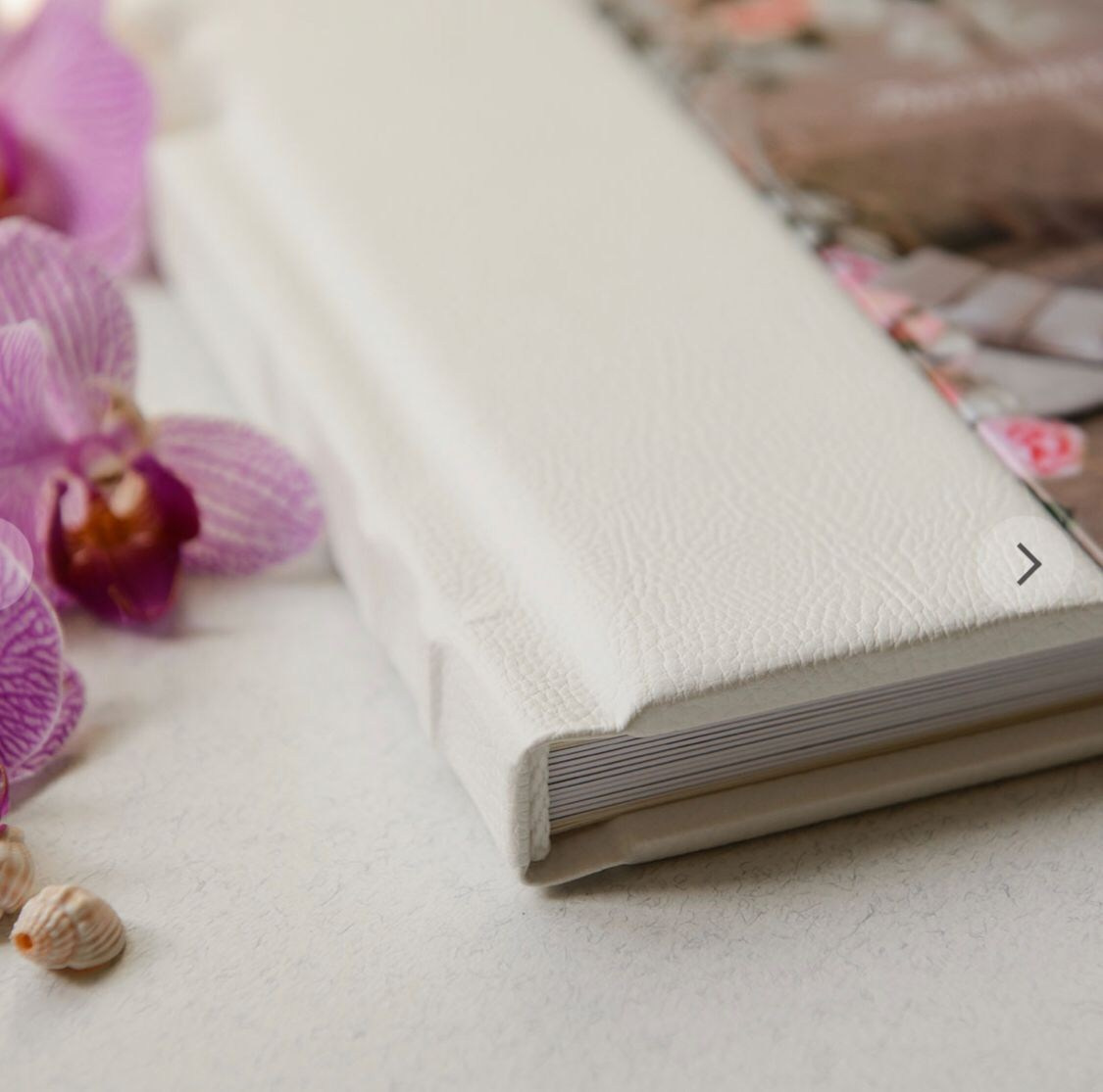 Information and price for the services of a photographer in Scotland. Elena Carruthers family photographer in Scotland (Edinburgh, Glasgow)