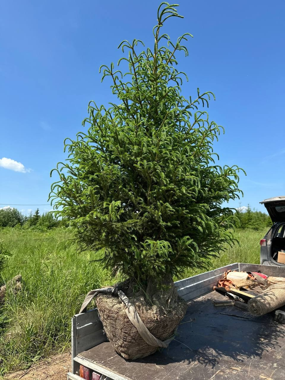 Крупномеры РФ