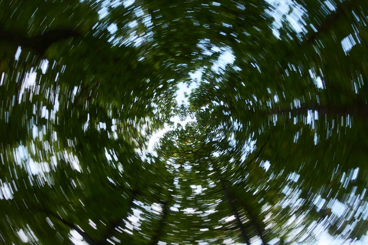 8-9/25. Иван Кобяков