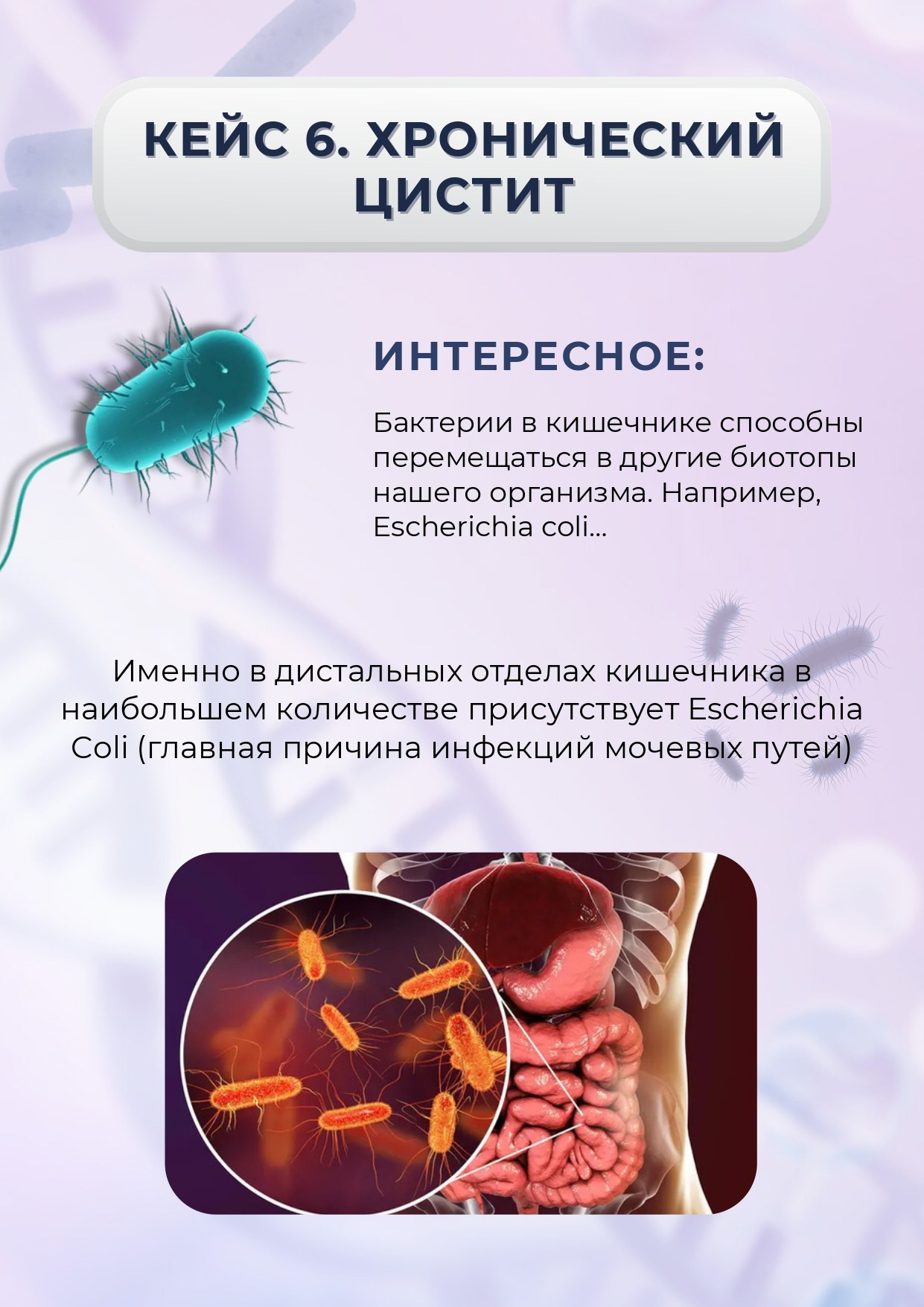 ВедаБиотика. Медицина с душой
