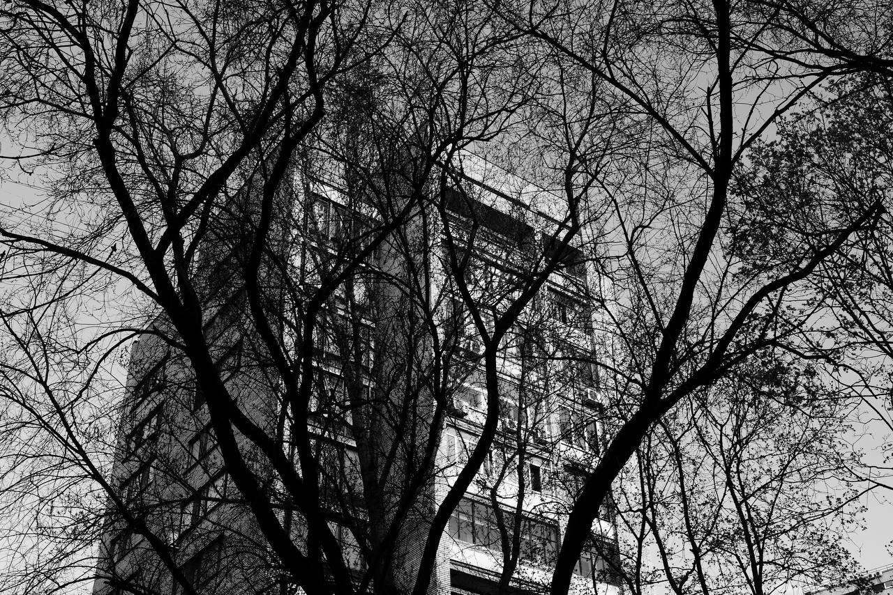 Фотопрогулка — Moscow FreeFlow. PHOTO COMMUNITY #SBERTEAM