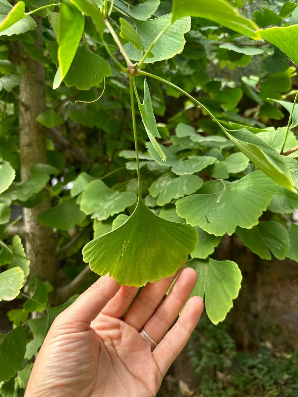 Путешествия говорят. Портретный женский фотограф в Москве Наталия Глазова