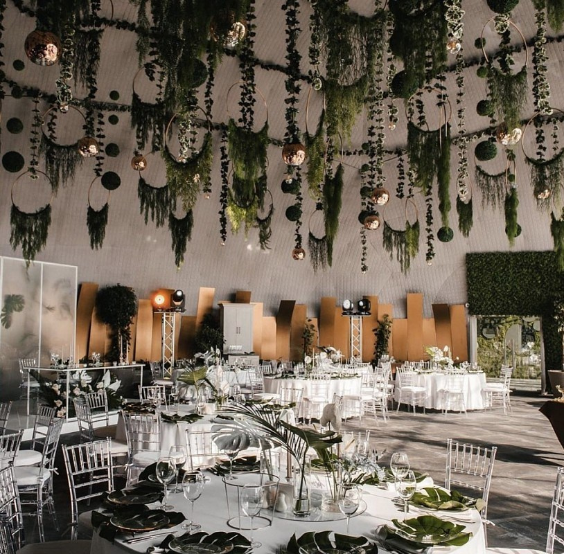 Графский парк