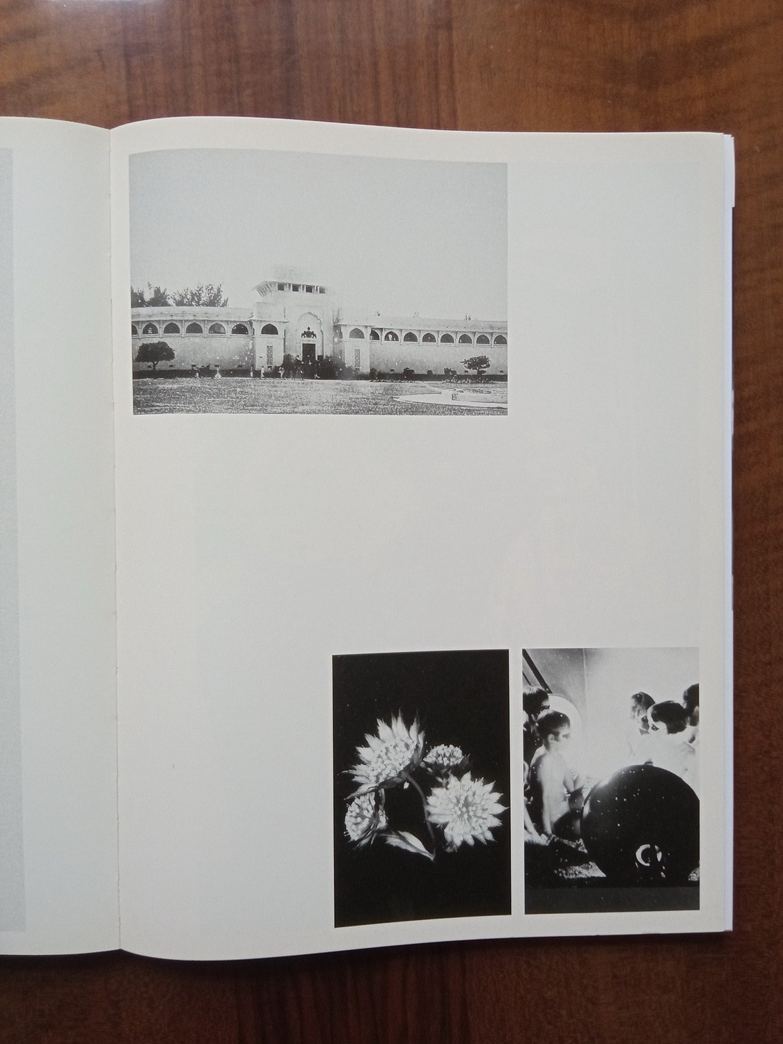 Проект «Worry for the fruit the birds won’t eat» Софи Габриэль. Private image