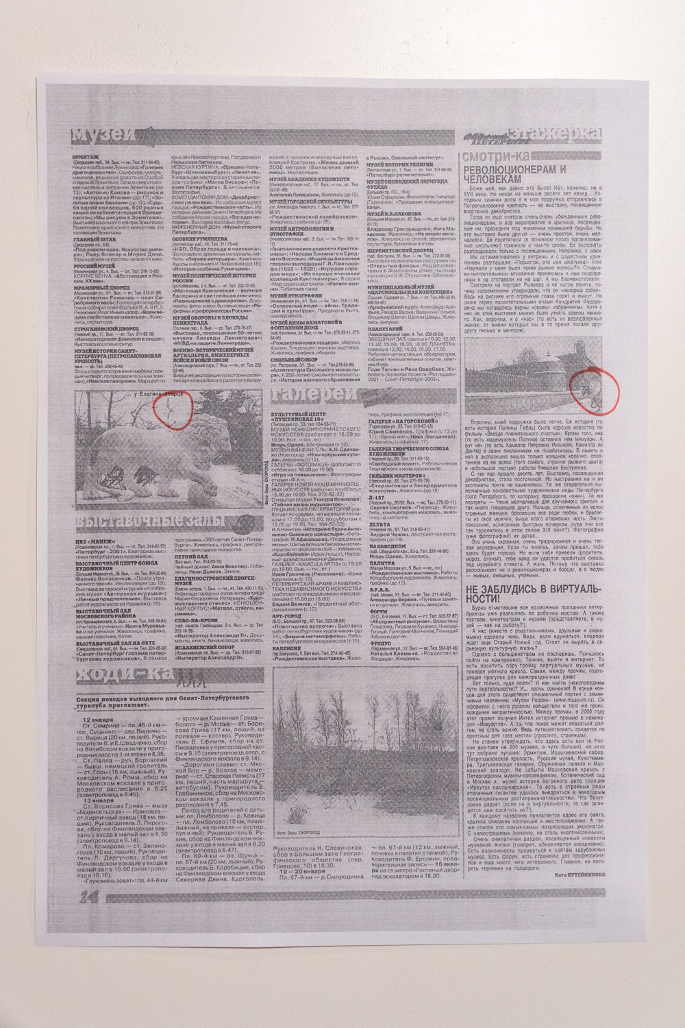 Что еще от нас скрывали. Козлова Екатерина. Междисциплинарная визуальная художница