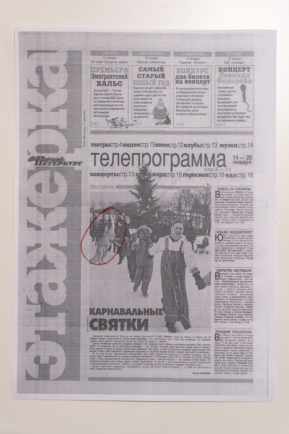 Что еще от нас скрывали. Козлова Екатерина. Междисциплинарная визуальная художница