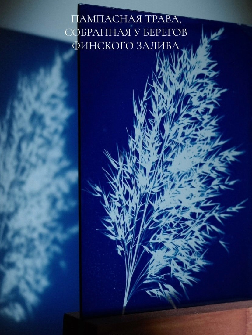 Alternative processe. Maria Norden